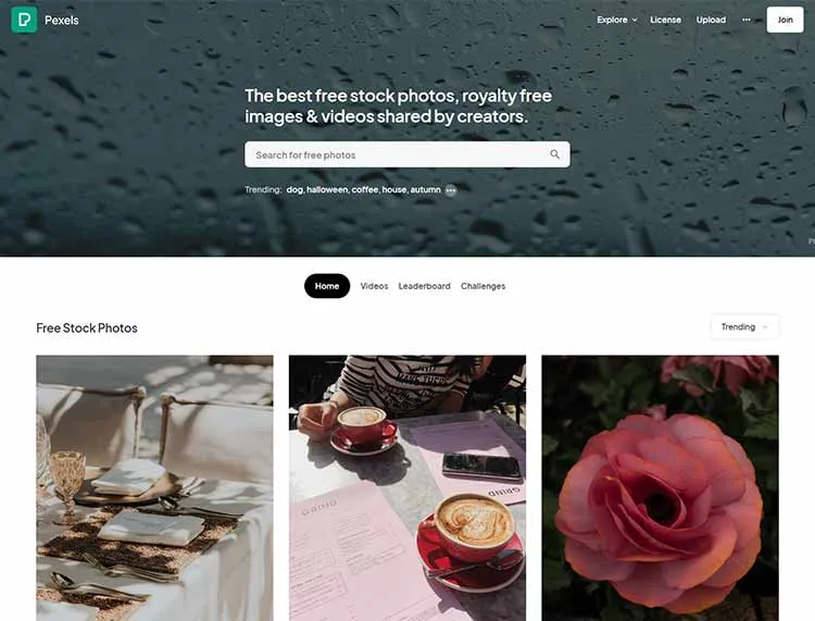 Pexels Free Stock Photos for Websites