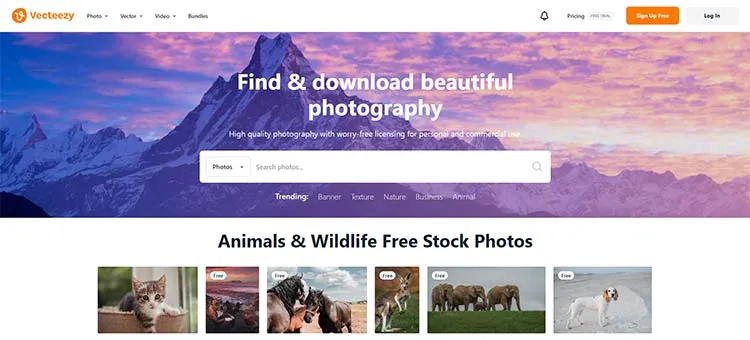 Vecteezy Free Stock Photos for Websites